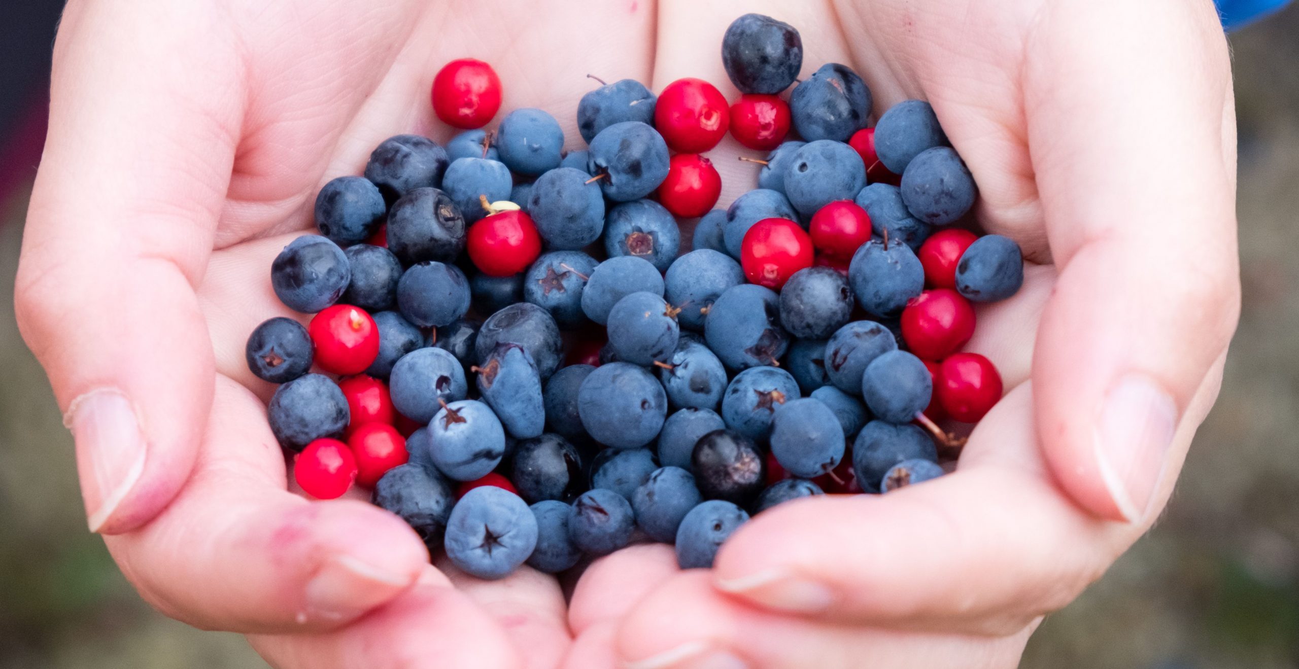 berries